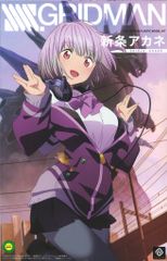 F*e様 新条アカネ展 メインビジュアルポスター 新品未開封 - メルカリ