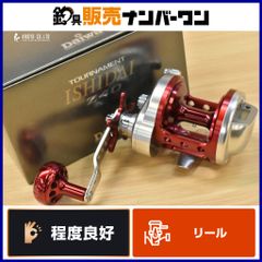N3846 ダイワの石鯛用両軸リール　トーナメント石鯛 Z40 N3846 ダイワの石鯛用両軸リール トーナメント石鯛 Z40 - メルカリ