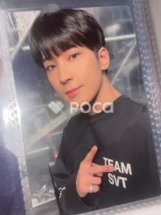 セブチ ウォヌ 2022 SVT 6TH FAN MEETING SEVENTEEN in CARAT LAND トレーディングカードセット
