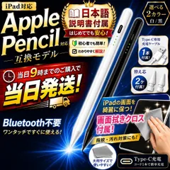 iPad タッチペン スタイラスペン iPad用 クリーニングクロス 日本語説明書 替え芯2個 充電ケーブル 付属 パームリジェクション 磁気吸着 白 黒 急速充電  互換品 Apple Pencil タブレット Type-C タイプC　傾き　感知　高感度
