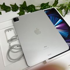 AppleCare+) iPadPro 11インチ M5 シルバー 256GB - メルカリ