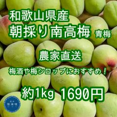 和歌山県産 南高梅 2.6kg 農薬不使用 Lサイズ キズ有り⑤ - メルカリ