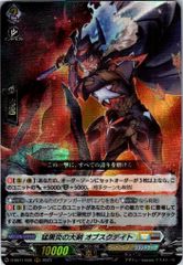 4コン】 カードファイト‼︎ヴァンガード,4コンセット DZ/BT13 幻真星戦