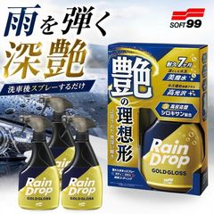 ソフト99 レインドロップ 大容量 380ml 6本セット 【増量缶】 - メルカリ