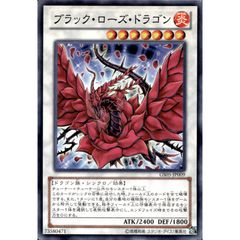 期間限定特価 ブラック・ローズ・ドラゴン アルティメットレア 第6期