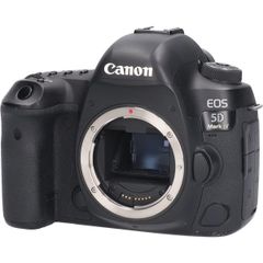 シャッター数6743回 Canon EOS 5D Mark IV 本体 - メルカリ