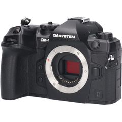 OM SYSTEM OM-1 Mark II ボディ 美品 シャッター数977回 - メルカリ