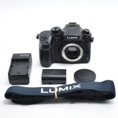 Panasonic LUMIX GH4本体 SmallRigケージ付 おまけ多数 - メルカリ