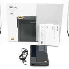 ie900+天吹　nw-wm1am2 ie900+天吹 nw-wm1am2 - メルカリ