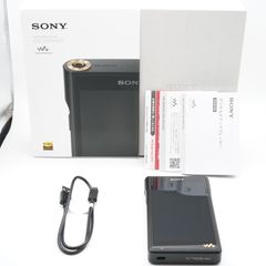 ie900+天吹　nw-wm1am2 ie900+天吹 nw-wm1am2 - メルカリ