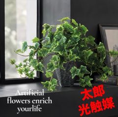 光触媒 人工観葉植物 ウォールグリーン フェイクグリーン ハリソン 