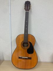 レスター・フラット仕様 Grecoグレコ gnecoロゴ カスタマイズ フジケン