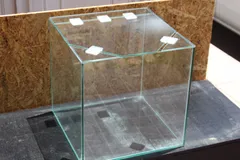 【送料込】３０CMキューブ水槽　３０水槽のサムネイル