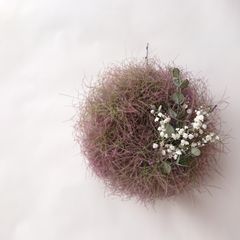 灯台守の植物園 ～herbier de brume～ドライフラワー リース - メルカリ