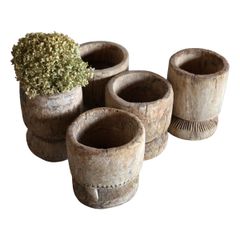 山下太 植木鉢4個セット 塊根植物 - メルカリ