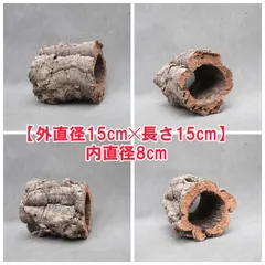 2026年最新】コルク樹皮 キャノンの人気アイテム - メルカリ