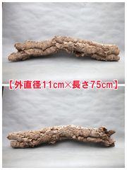 W731 ポルトガル産 キャノンコルク コルク樹皮 コルク板 バージン