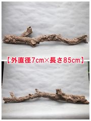 W735 ポルトガル産 キャノンコルク コルク樹皮 コルク板　バージンコルク W735 ポルトガル産 キャノンコルク コルク樹皮 コルク板 バージン