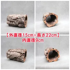 2026年最新】コルク樹皮 キャノンの人気アイテム - メルカリ