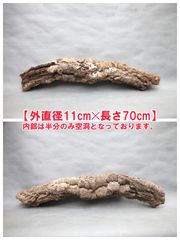 W733 ポルトガル産 キャノンコルク コルク樹皮 コルク板　バージンコルク W733 ポルトガル産 キャノンコルク コルク樹皮 コルク板 バージン