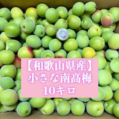 和歌山県産 古城梅 ごじろうめ 約10kg箱込 - メルカリ