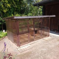 中古 大型犬用 犬小屋 引取限定 中古 大型犬用 犬小屋 引取限定 - メルカリ