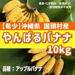 希少！沖縄産アップルバナナ 10kg 無農薬・無化学肥料 - メルカリ