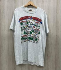 希少 80s USA製 ヘインズ Hanes バイカー 丸胴 Tシャツ グレー - メルカリ