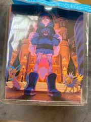 ポケモンカードゲーム コレクションファイルプロ ピカチュウ 新品未