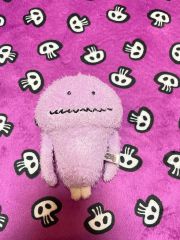 超希少 1周年 おさわり探偵 なめこ栽培キット 原始なめこ なめこ