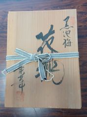 希少】 ロベルタディカメリーノ バゴンギ ベロア ヴィンテージ バッグ