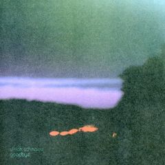 希少盤あり】The good-bye 7inchレコード コンプリート15枚 - メルカリ