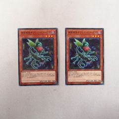 遊戯王 捕食植物オフリススコーピオ 19TP 2枚 - メルカリ