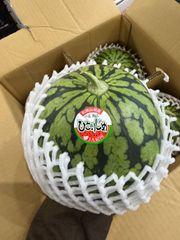 鮮度抜群。鳥取県産 姫 甘泉小玉スイカ1箱 約10kg。4〜5玉。 鮮度抜群。鳥取県産 姫 甘泉小玉スイカ1箱 約10kg。4〜5玉。 - メルカリ