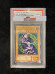 PSA10】サザンドラex SAR 171/086 1枚 - メルカリ