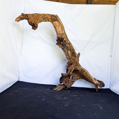 極太 最大径5.5cm 天然海松 コーラル 黒珊瑚 全長118cm 根付 - メルカリ