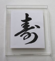 デコトラ ゼッケンアンドン 「宝」 鏡面 ミラー 蛍光灯付き アンドン