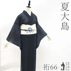 【新古品】 夏物 夏大島 着物 単衣 未使用 正絹 紗紬 十日町 黒 紺 葉 実 カジュアル 夏 夏用 夏着物 証紙付き 極上 美品 背伏せ仕立て 仕立て上がり 身丈166 裄丈66 Ｌサイズ みやがわ sb17577のサムネイル