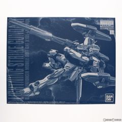 프리미엄 반다이 한정 MG 1/100 라이트닝 스트라이크 건담 Ver. RM 기동전사 건담 SEED(시드) MSV 프라모델(5061811) 반다이 스피릿