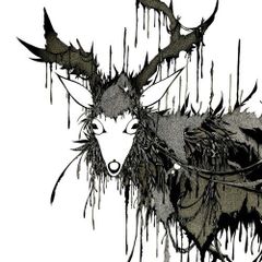 The Novembers Live at TSUTAYA O-EAST - メルカリ
