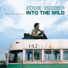 INTO THE WILD イン・トゥ・ザ・ワイルド DVD - メルカリ