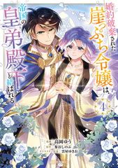 氷の城壁13巻 初版 - メルカリ