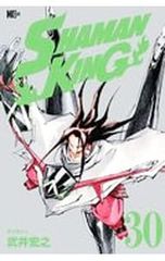 SHAMAN KING 30 / 타케이 히로유키