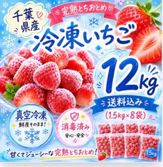 冷凍いちご 12kg 完熟とちおとめ バラ凍結 - メルカリ