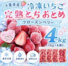 🍓千葉県産完熟とちおとめ冷凍いちご4kg - メルカリ