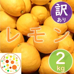 【訳あり】レモン2kg 愛媛県産 (送料無料※北海道/東北/沖縄は追加送料) 《1～7日以内に発送》国産レモン レモン酒 はちみつレモンのサムネイル