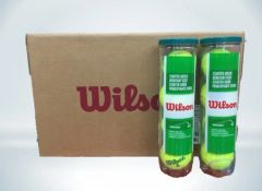 新品 ウイルソン Wilson ツアープレミア 60球（2個入缶 ✕ 30缶
