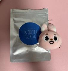 DAY6 デニマルズ SECRET MINI PLUSH ウォンピル コンプ - メルカリ