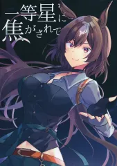 【中古】男性向一般同人誌 ≪その他ゲーム≫ 一等星に焦がされて / 悠夜アキハル / ヒイロイズム