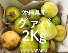 沖縄県産パッションフルーツ5kg 傷あり格安 - メルカリ